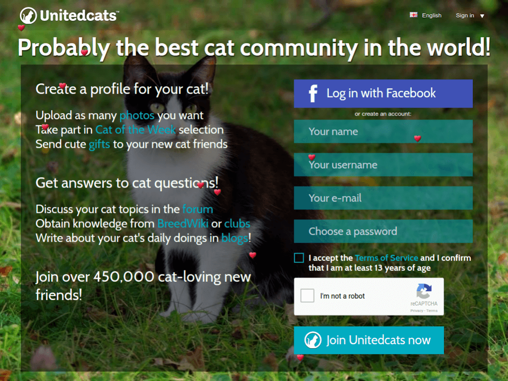 Homepage screenshot of United Cats