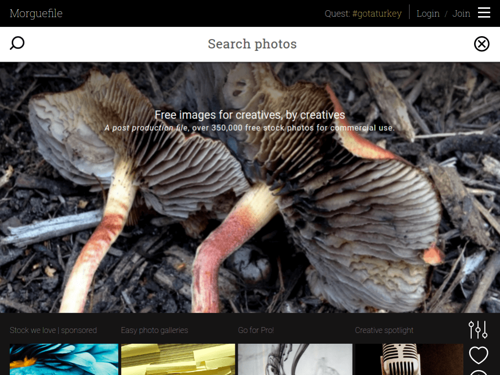 Homepage screenshot of morgueFile