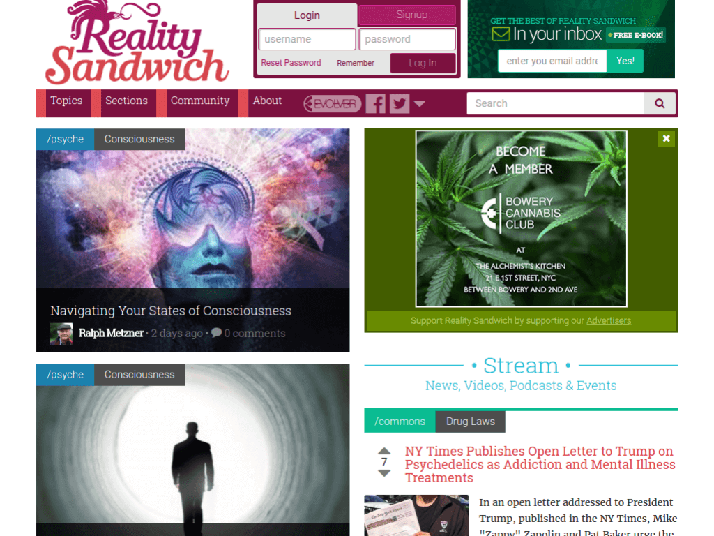 Homepage screenshot of Reality Sandwich