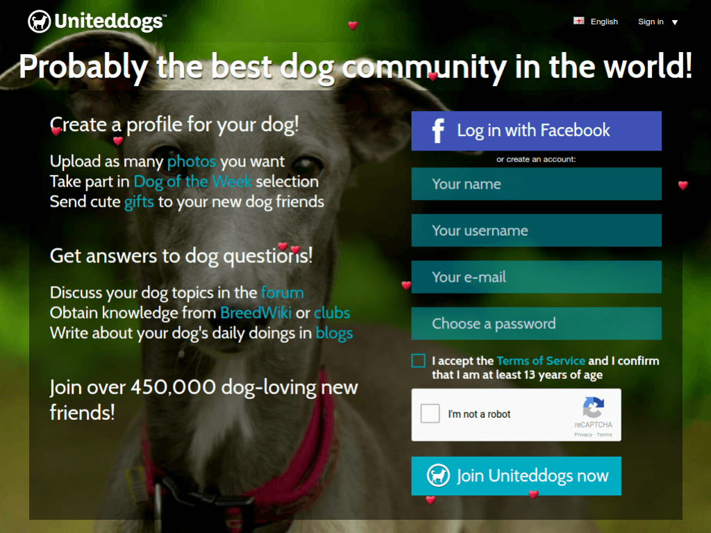 Homepage screenshot of United Dogs