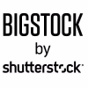 Big Stock Photo logo